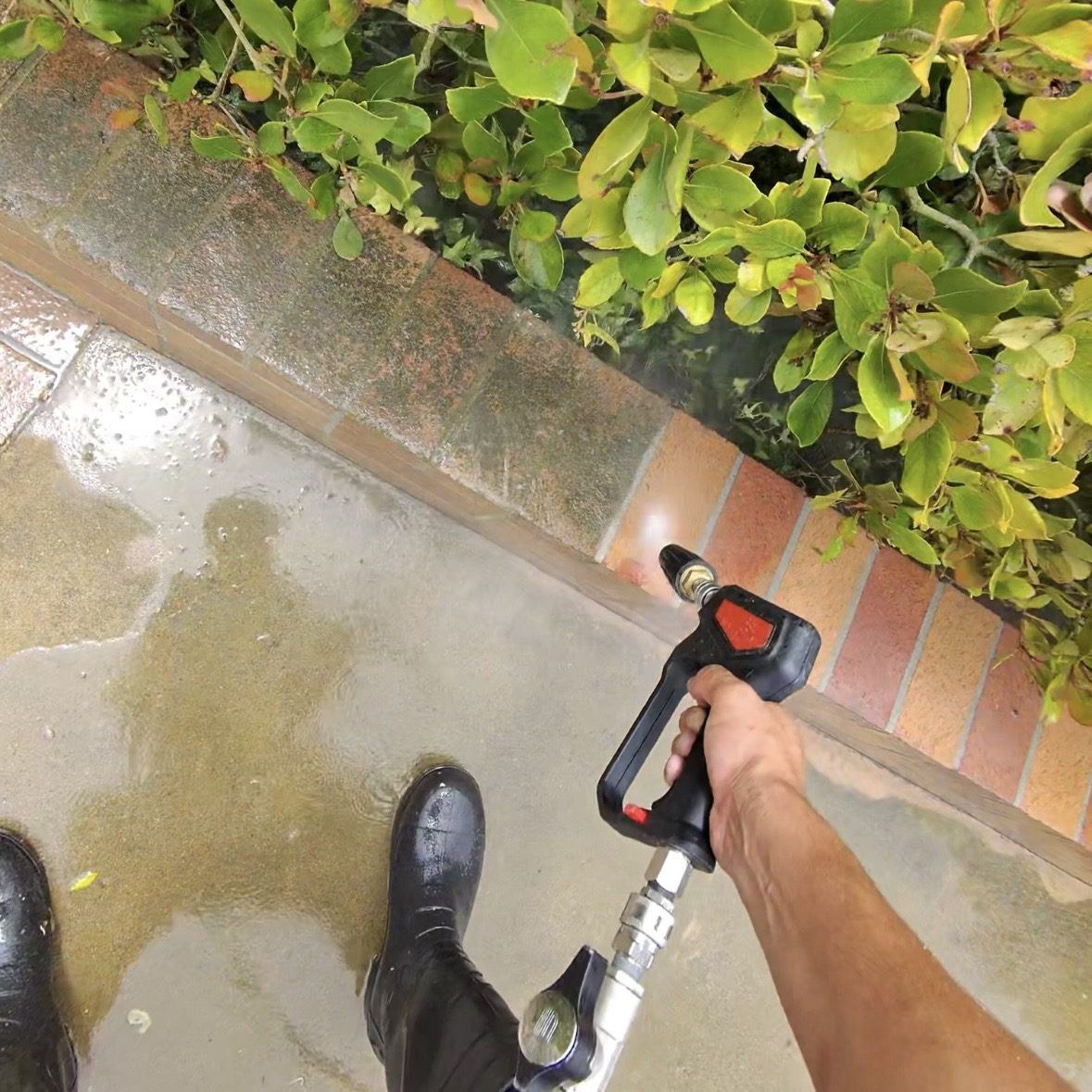 Pressure washing along a brick paver edge and hedge line